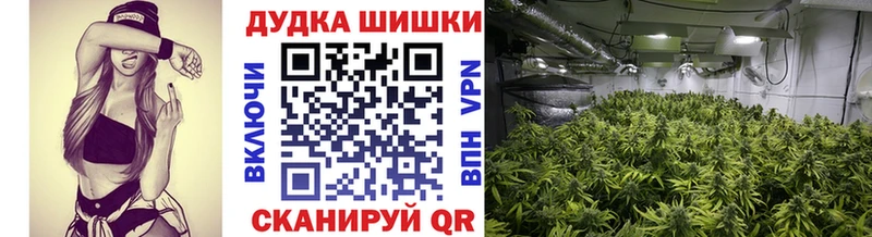 Где купить наркотики Бакал Cocaine ГАШ Амфетамин Канабис