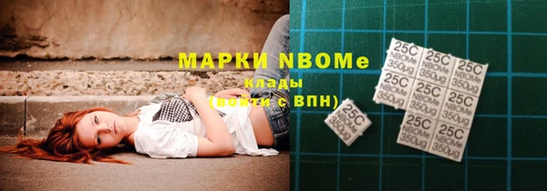 хмурый Алзамай