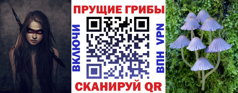 Галлюциногенные грибы мицелий  ссылка на мегу ссылки  Бакал 